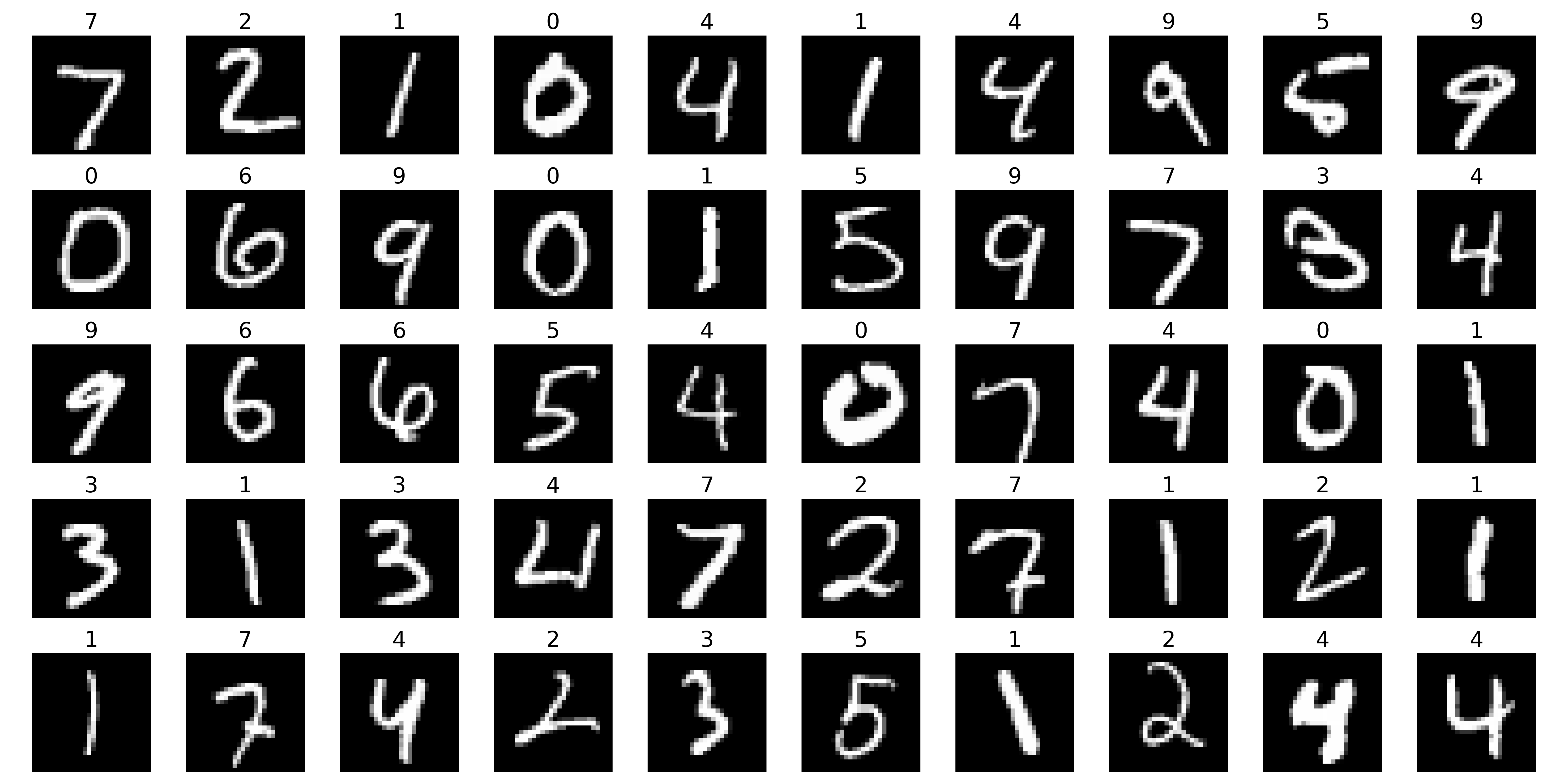 first 50 qmnist