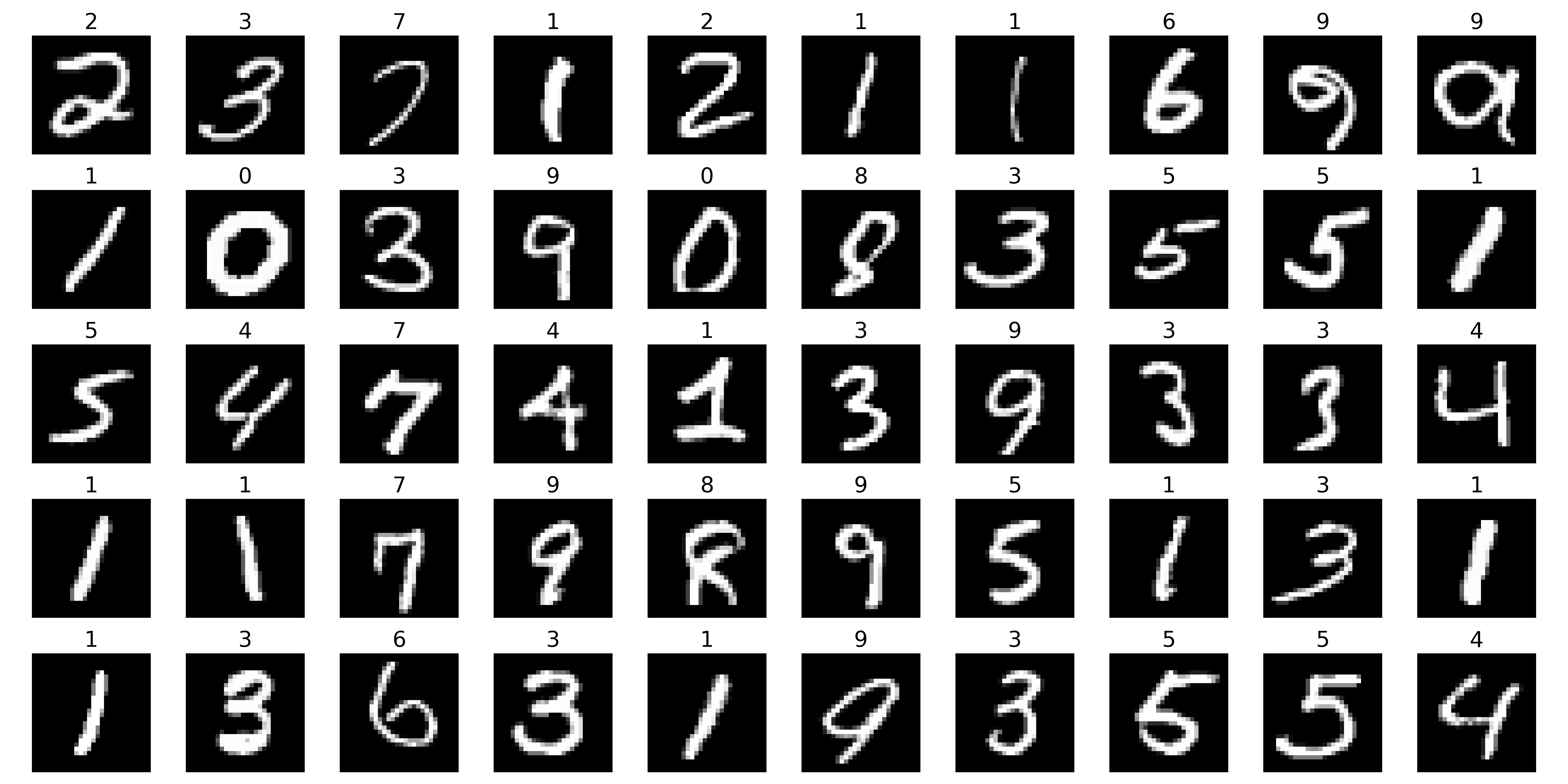 last 50 qmnist